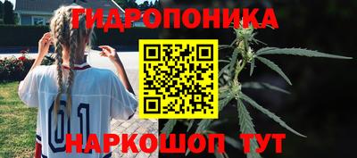 jwh Камышлов