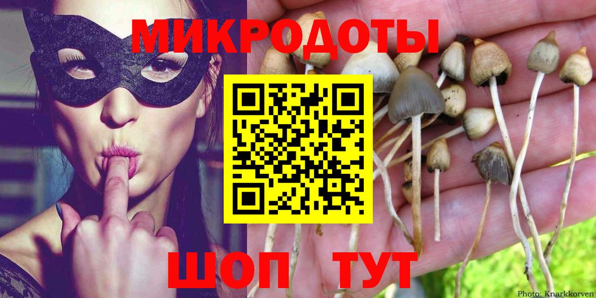 Псилоцибиновые грибы Psilocybine cubensis  Вход с VPN  Шатура  Псилоцибиновые грибы прущие грибы 